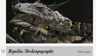 Reptilia Illustration